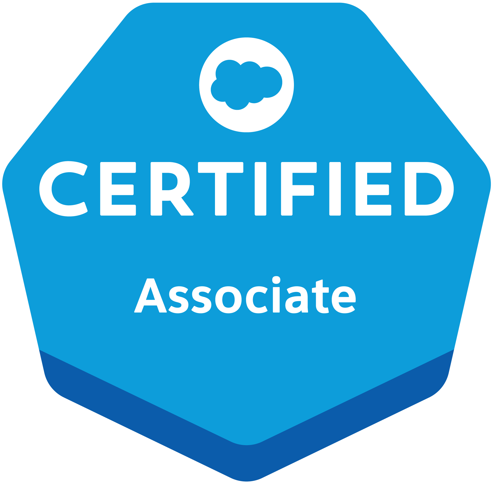 Salesforce Certified Associate Logo