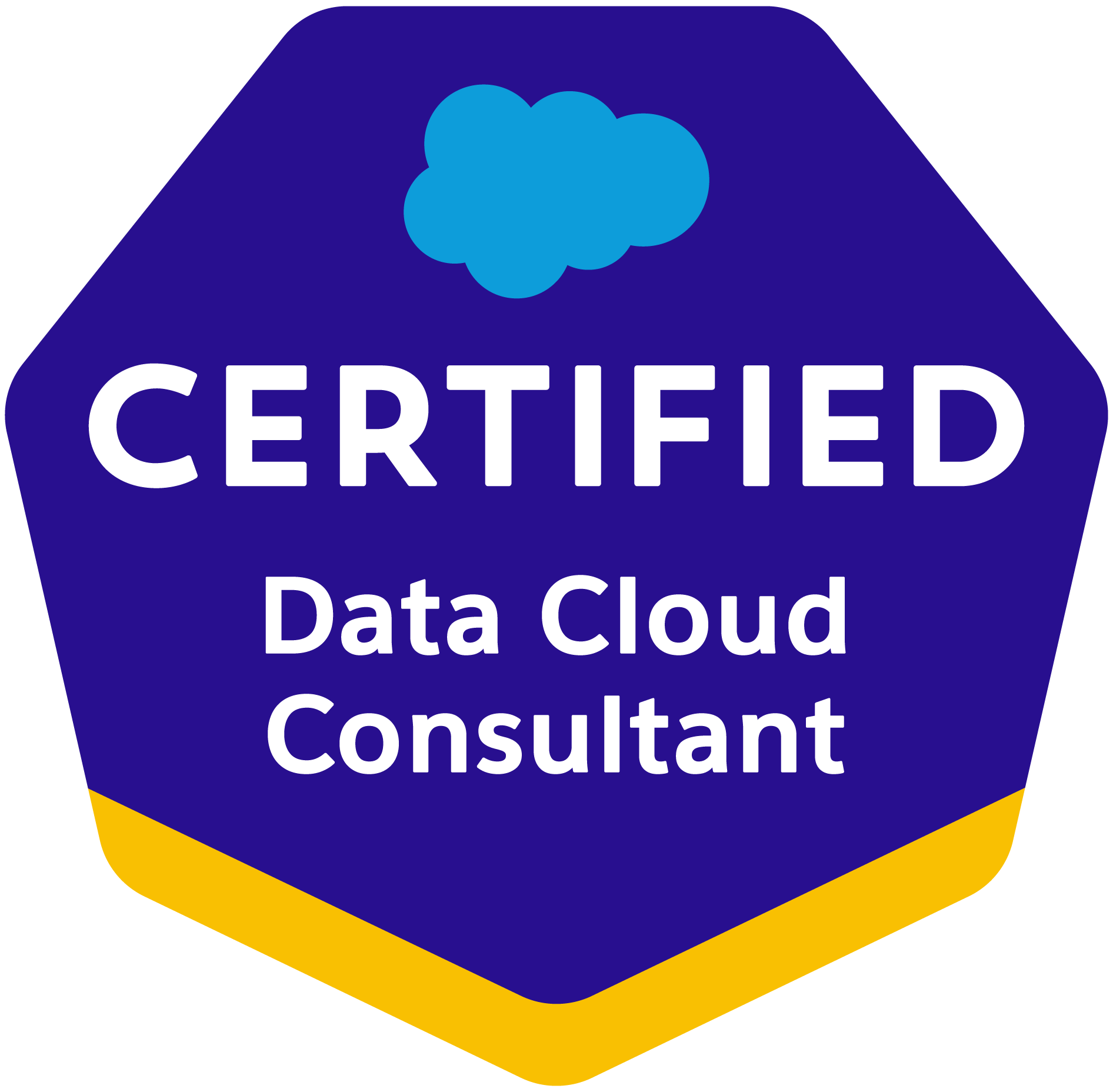 Salesforce Certified Data Cloud Consultant Logo