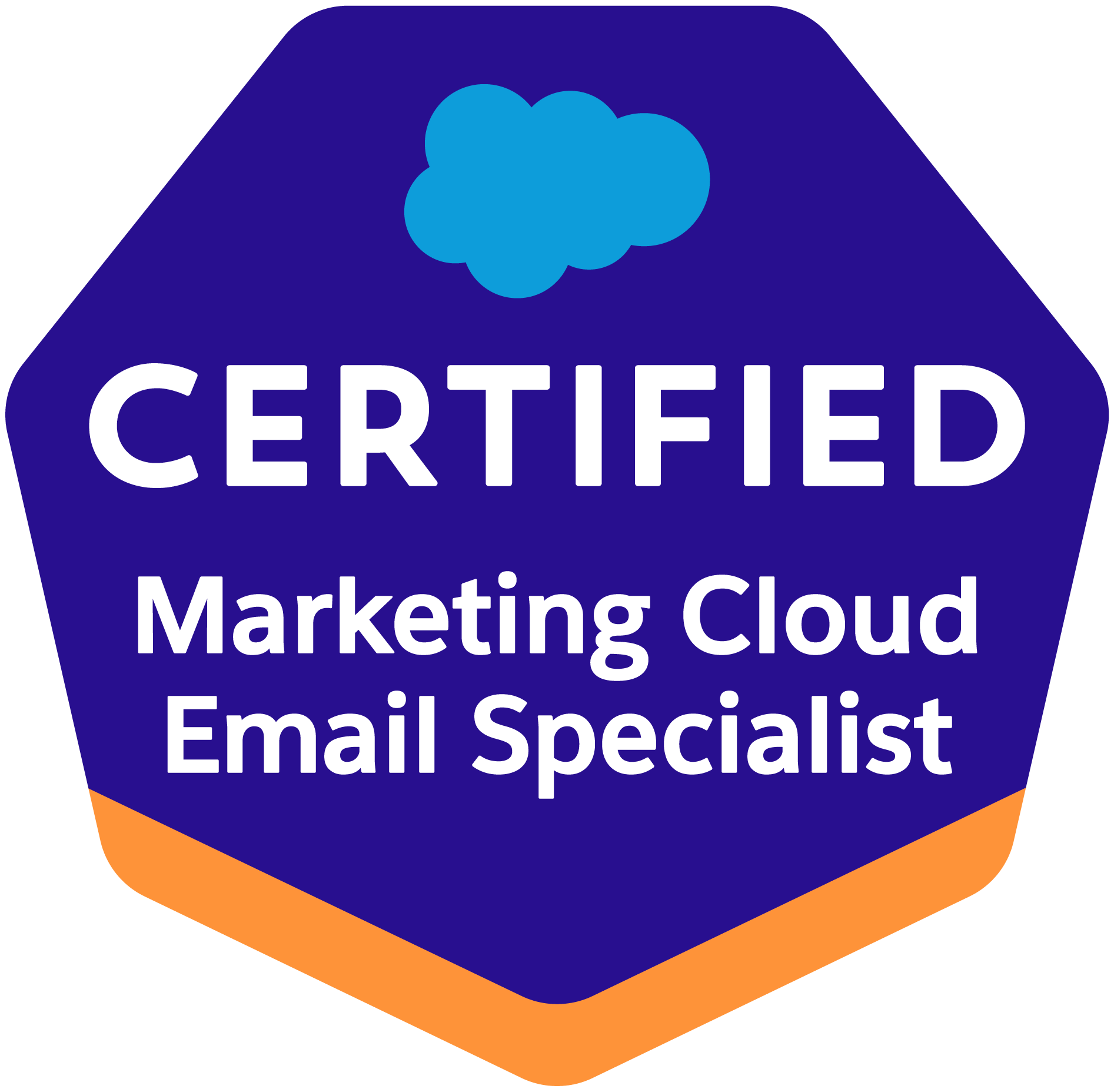 Salesforce Marketing Cloud Email Specialist Logo
